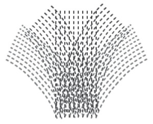 Abb. 3: Fächerform.